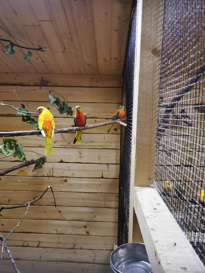 Casa Hibiscus Leilighet Putbus Eksteriør bilde